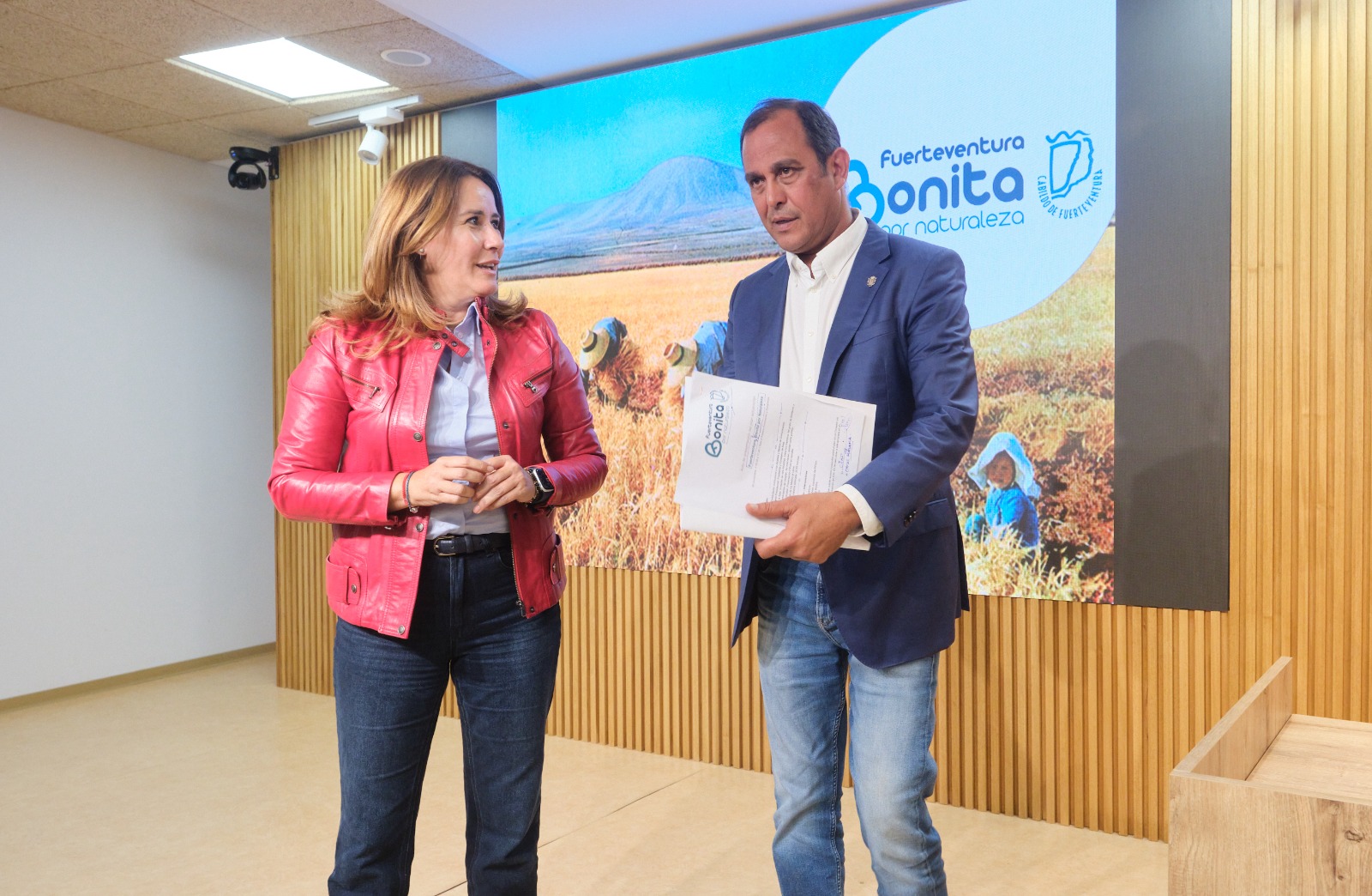 plan embellecimiento2