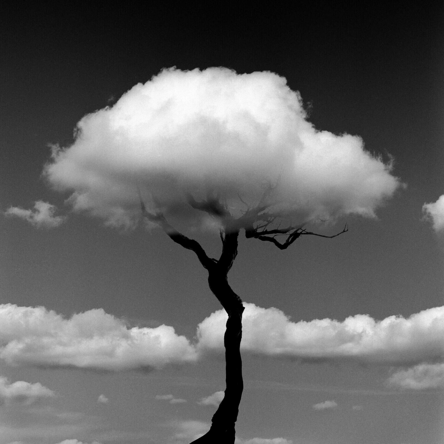 expo chema madoz