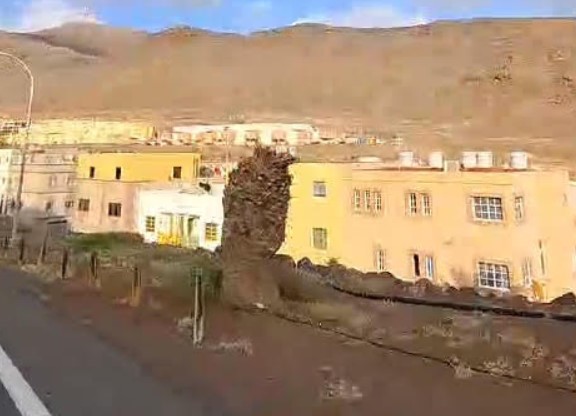Palmeral