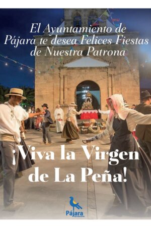 Publicidad 24118