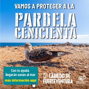 Publicidad 24513