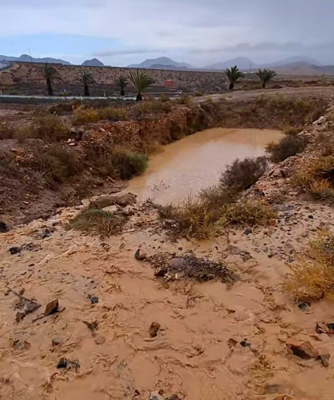 Screenshot_2025-12-14-12-36-19-68_a23b203fd3aafc6dcb84e438dda678b6