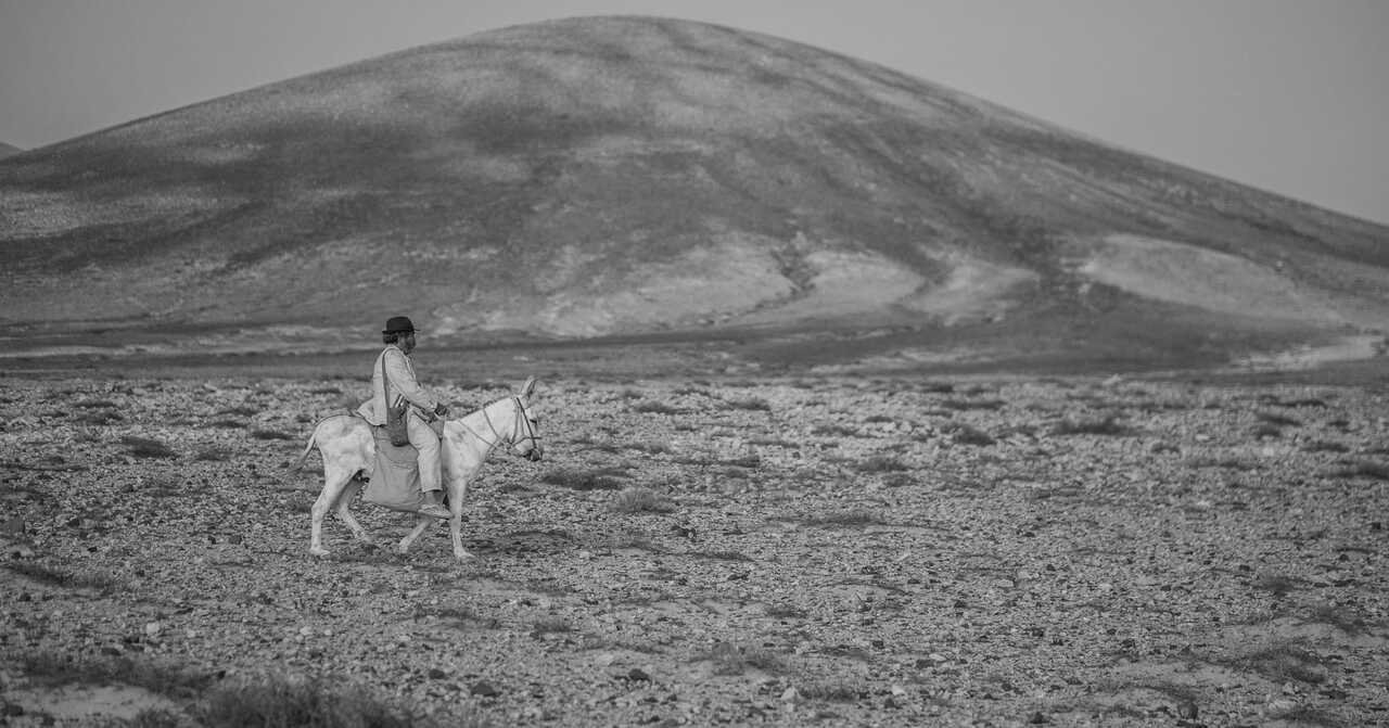 el médico de los corderos