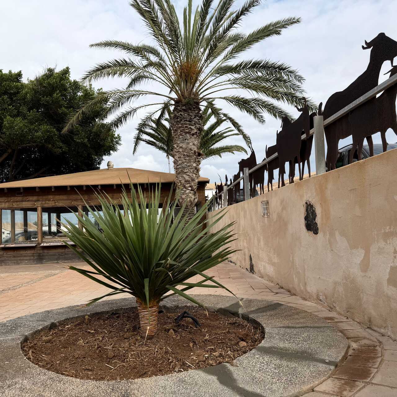 1B6D46DB-C60D-469B-A9AD-CFC1F9FE29B1