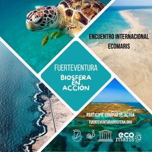 Publicidad 29612