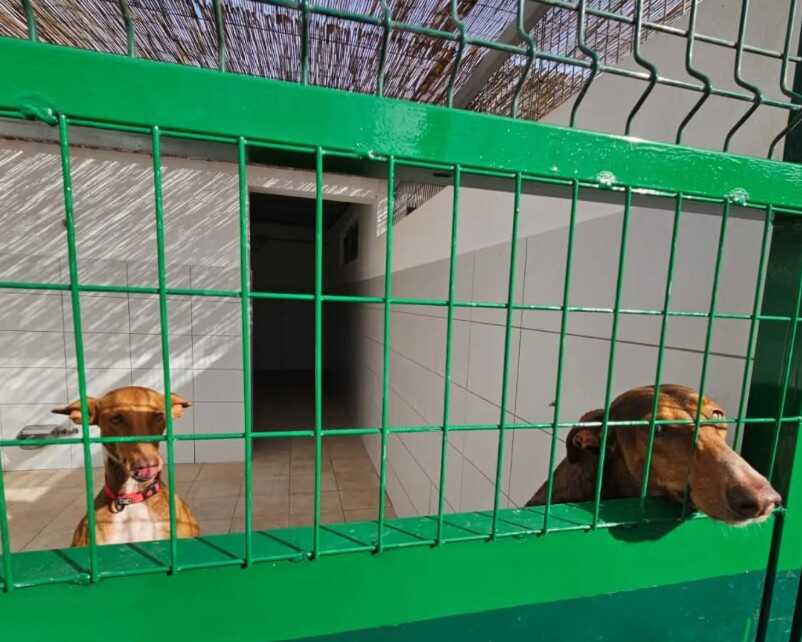 Centro de recuperacion de animales