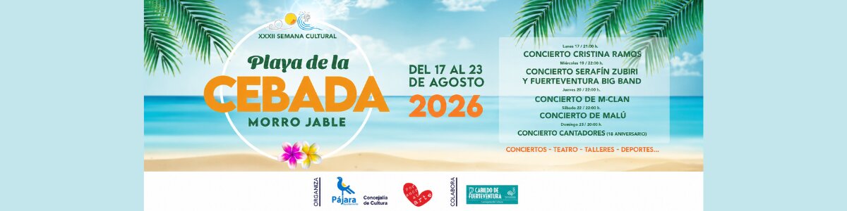 Publicidad 30737