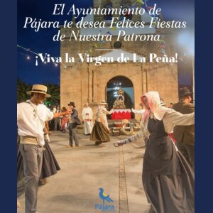 Publicidad 31255
